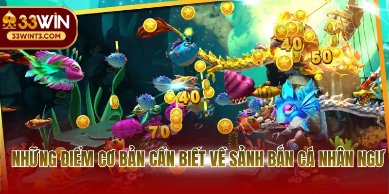 Những điểm cơ bản cần biết về sảnh bắn cá nhân ngư