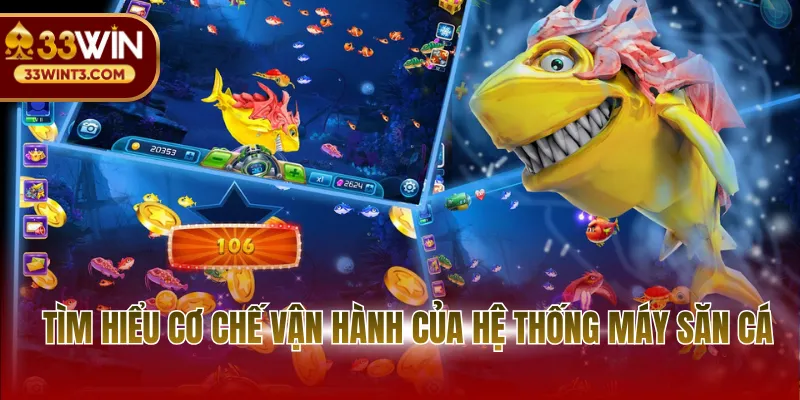 Tìm hiểu cơ chế vận hành của hệ thống máy săn cá